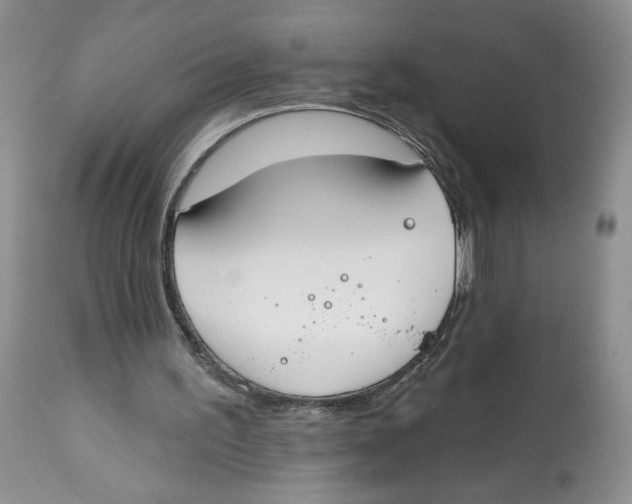 X0000112800195200909181544