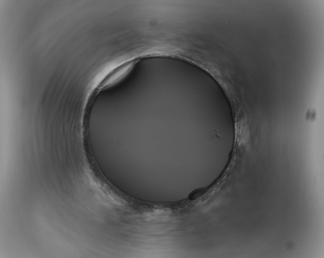 X0000112800196200909181544