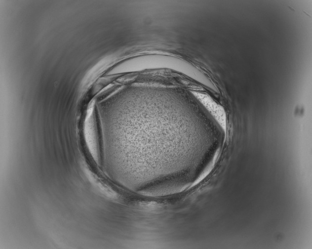 X0000112800197200909181544