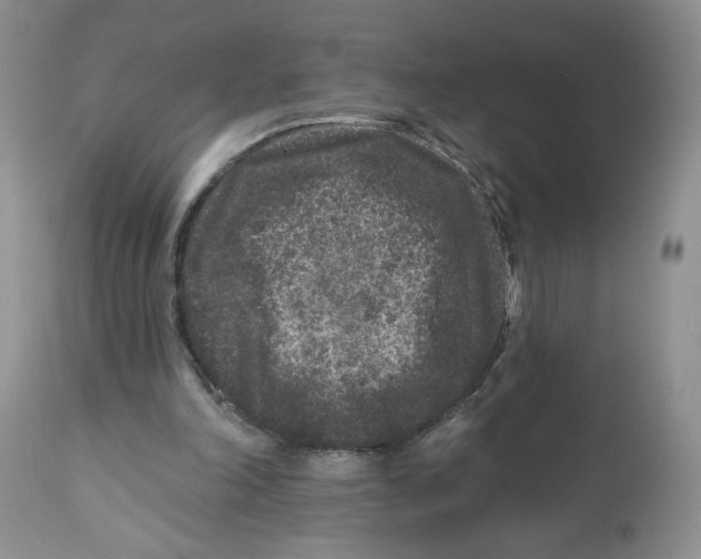 X0000112800198200909181544