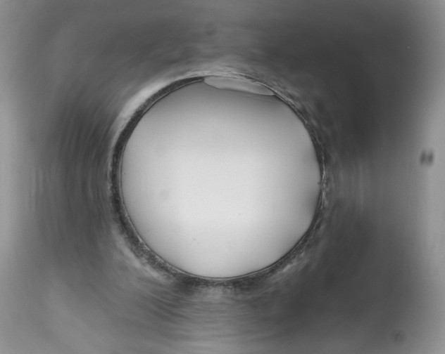 X0000112800200200909181544