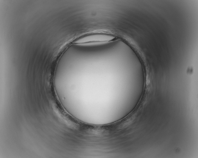 X0000112800201200909181544