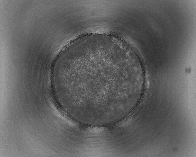 X0000112800202200909181544