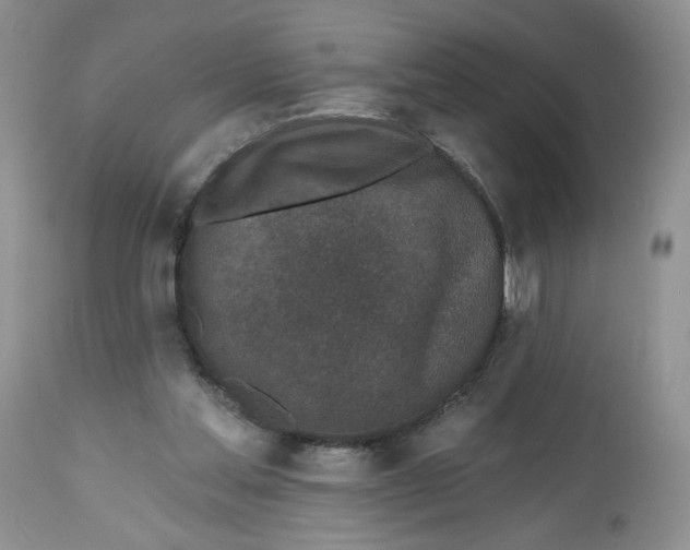 X0000112800205200909181544