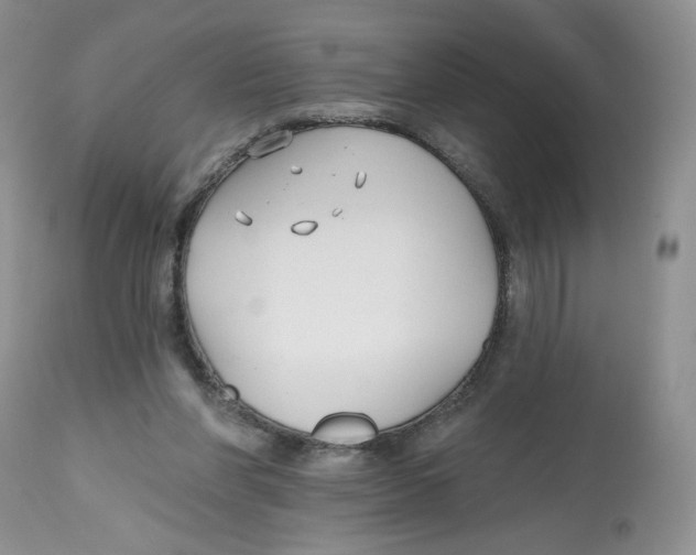 X0000112800206200909181544