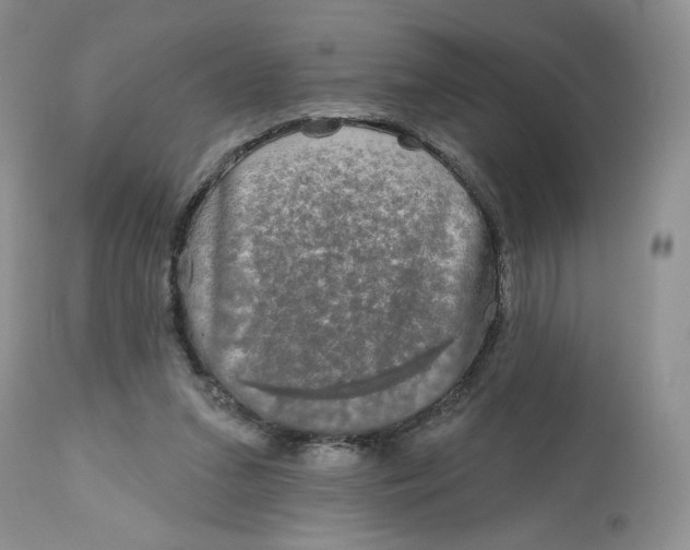 X0000112800207200909181544