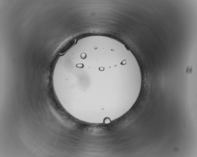 X0000112800208200909181544