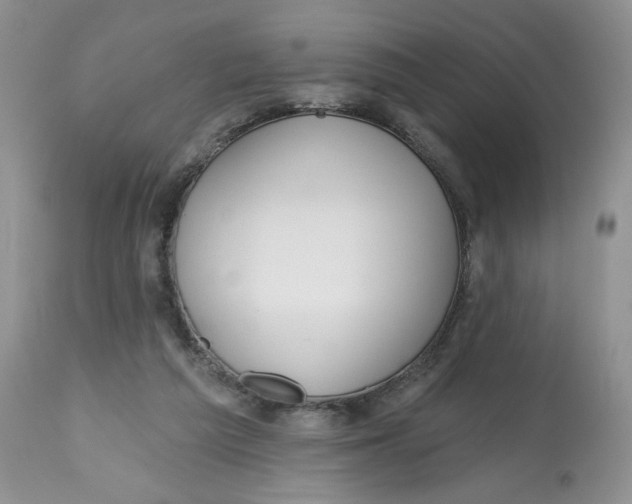 X0000112800209200909181544