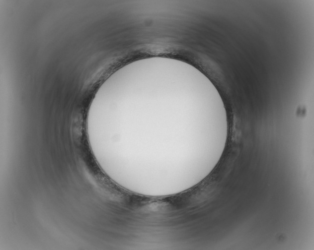 X0000112800210200909181544