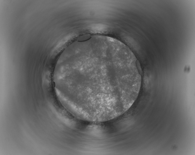 X0000112800211200909181544