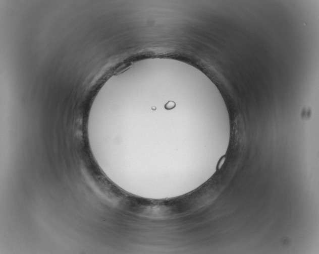 X0000112800212200909181544