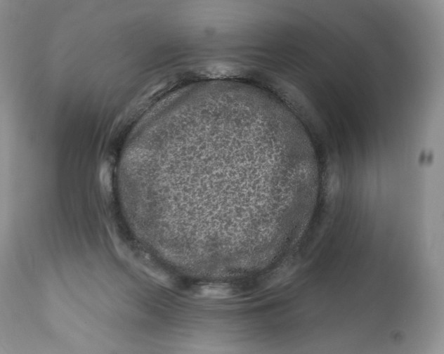 X0000112800214200909181544
