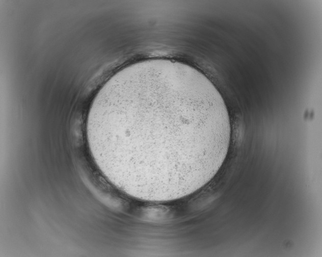 X0000112800215200909181544