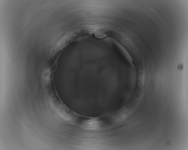X0000112800219200909181544