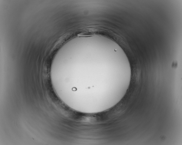 X0000112800220200909181544