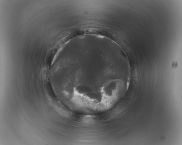 X0000112800222200909181544