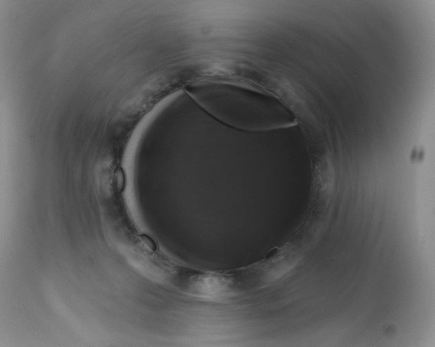 X0000112800223200909181544