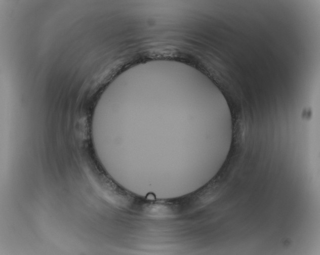 X0000112800224200909181544