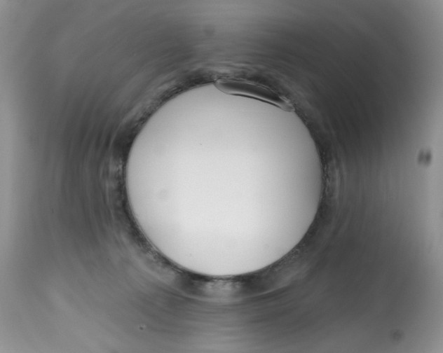 X0000112800225200909181544