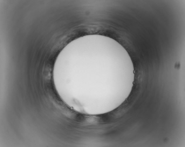 X0000112800226200909181544