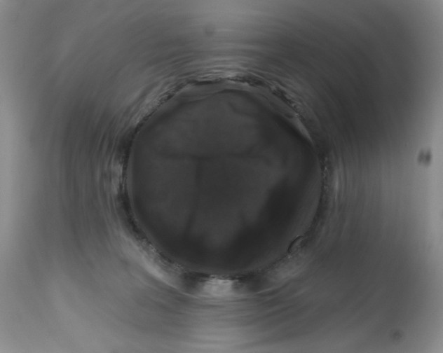 X0000112800227200909181544