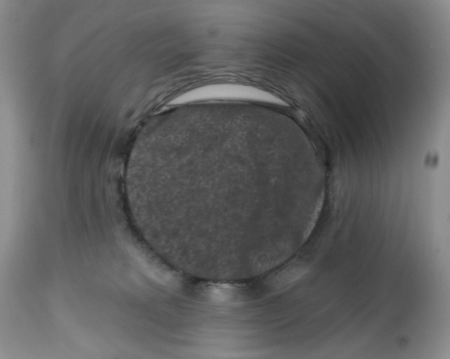 X0000112800229200909181544