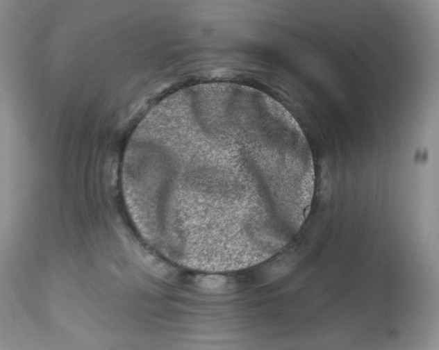 X0000112800230200909181544