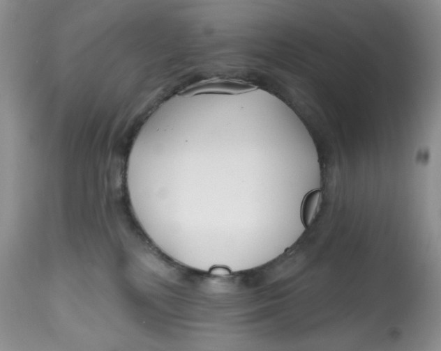 X0000112800232200909181544