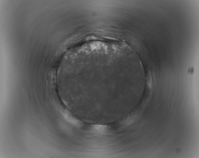 X0000112800233200909181544