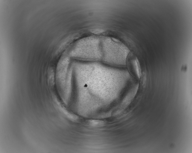 X0000112800234200909181544