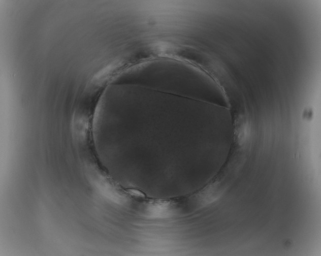 X0000112800235200909181544