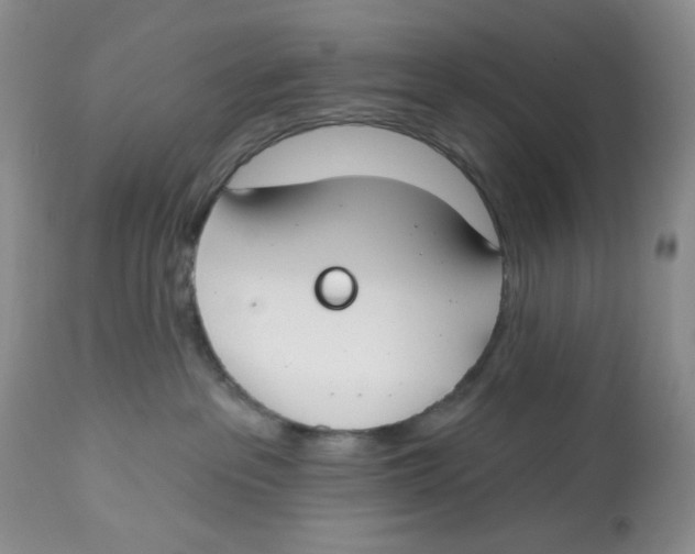 X0000112800237200909181544