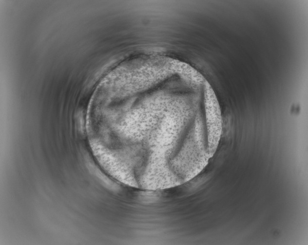 X0000112800238200909181544