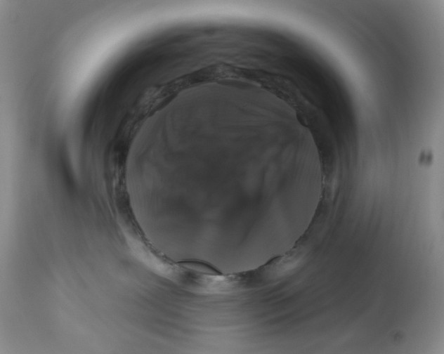 X0000112800239200909181544