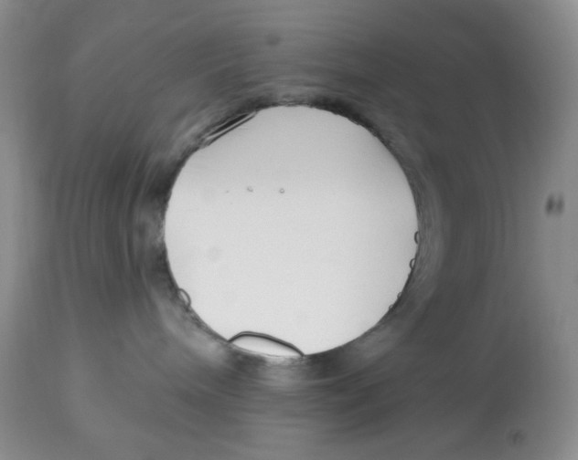 X0000112800240200909181544