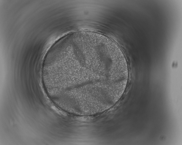 X0000112800241200909181543