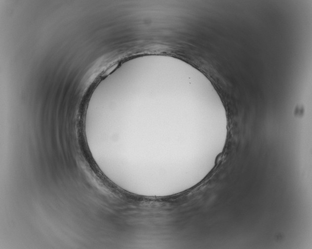 X0000112800242200909181543