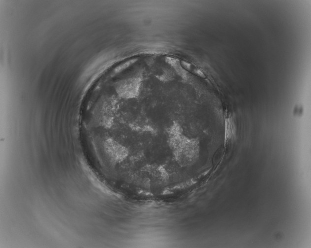X0000112800243200909181543