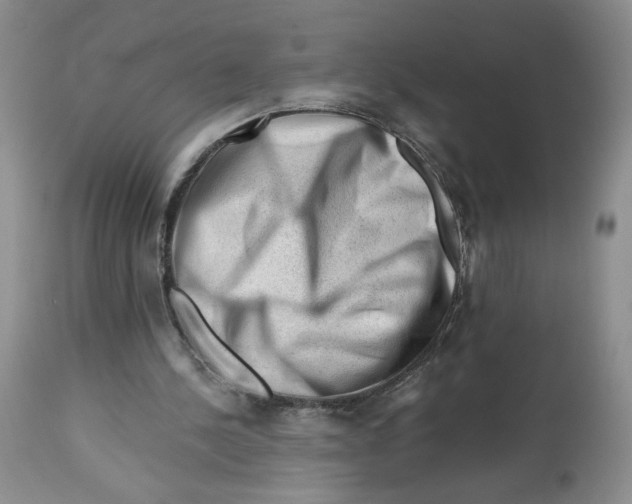 X0000112800244200909181543