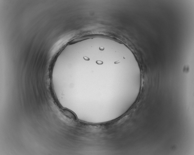 X0000112800245200909181543