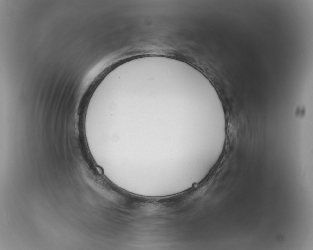 X0000112800246200909181543