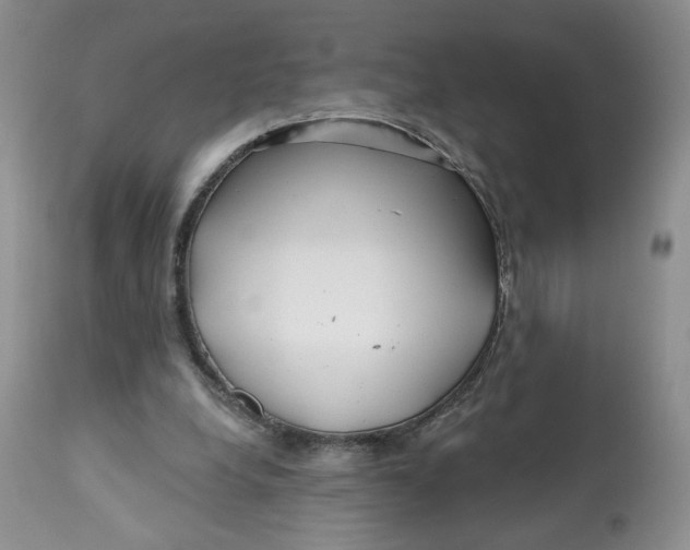 X0000112800248200909181543