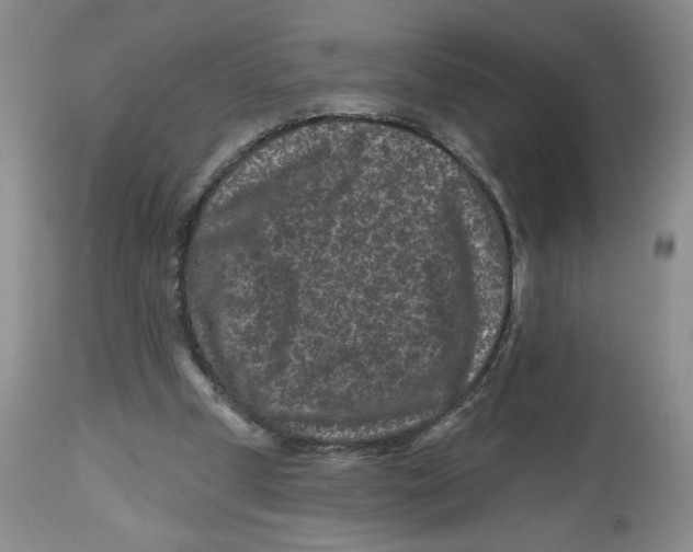 X0000112800249200909181543