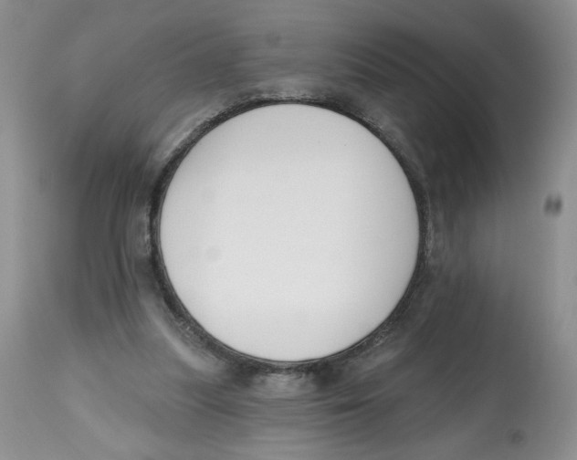 X0000112800251200909181543