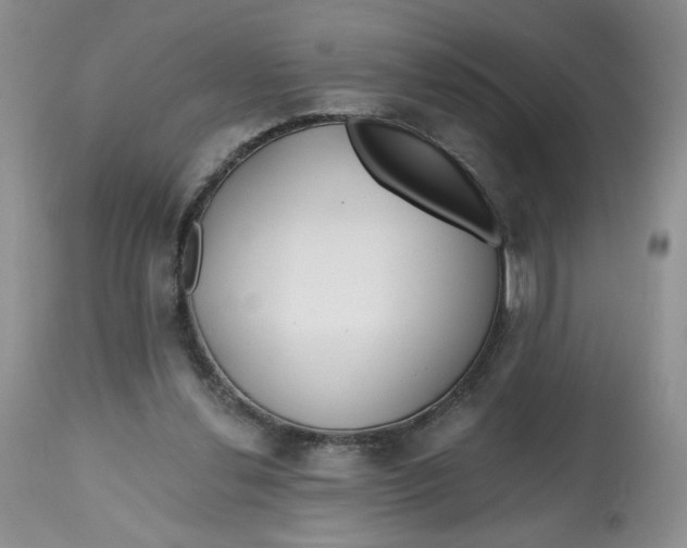 X0000112800252200909181543