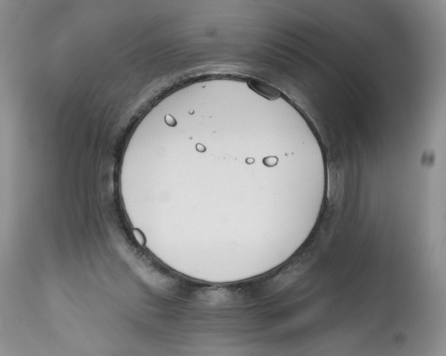 X0000112800253200909181543