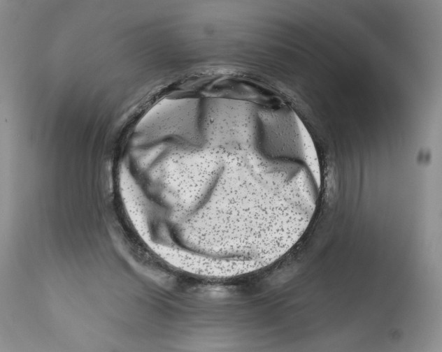 X0000112800254200909181543