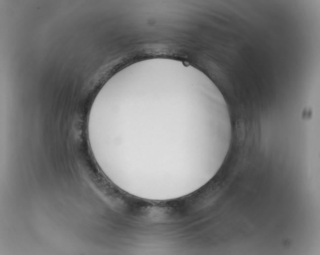 X0000112800255200909181543