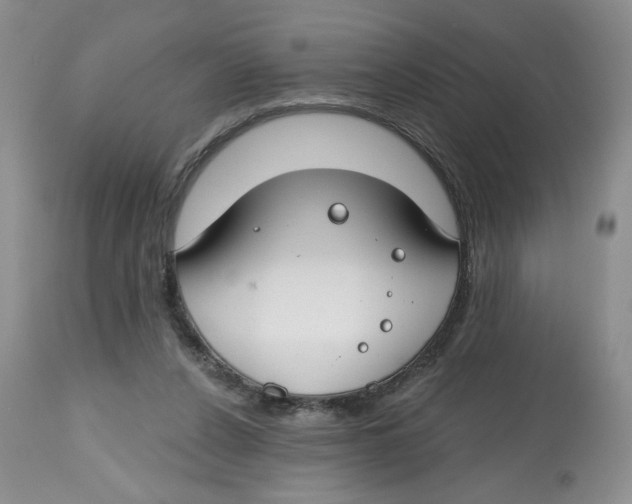 X0000112800256200909181543
