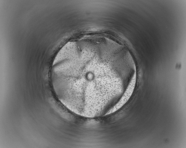 X0000112800257200909181543